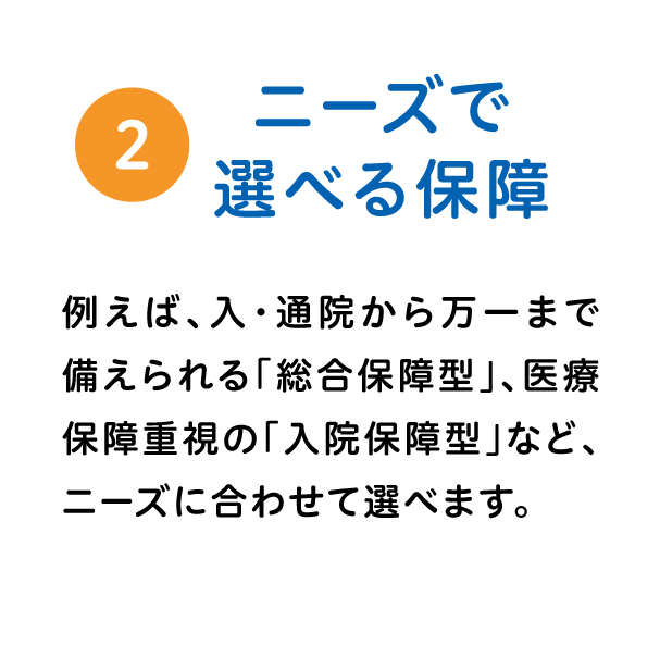 ニーズで選べる保障