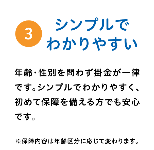 シンプルでわかりやすい